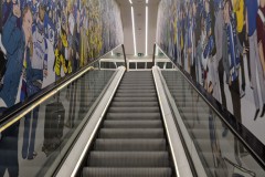 MVIMG_20190706_110307-Mittel