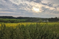 PXL_20210821_171434408-Mittel