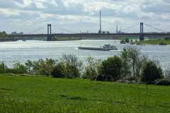 PXL_20240428_094940663