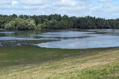 See am Polder Hasenpfad