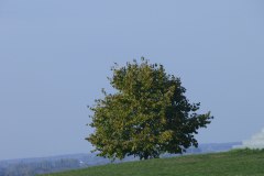 Halde-Rheinpreussen-Moers-2