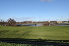 Rheinwiesen bei Duisburg