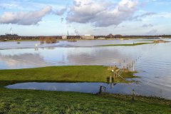 Rheinwiesen bei Hochwasser