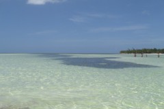 IMG_3310-Klein