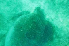 2025_0309_183140003-small