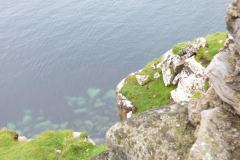 Schottland_New_04