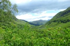 Schottland_New_08